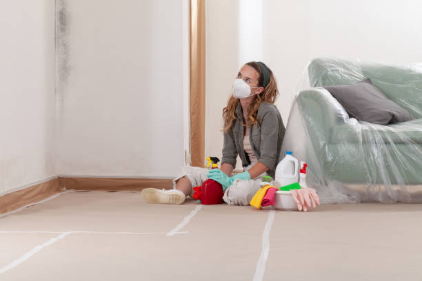Reliable Mold Remediation contractor in Petersburg, MI by WQB Mold Removal
